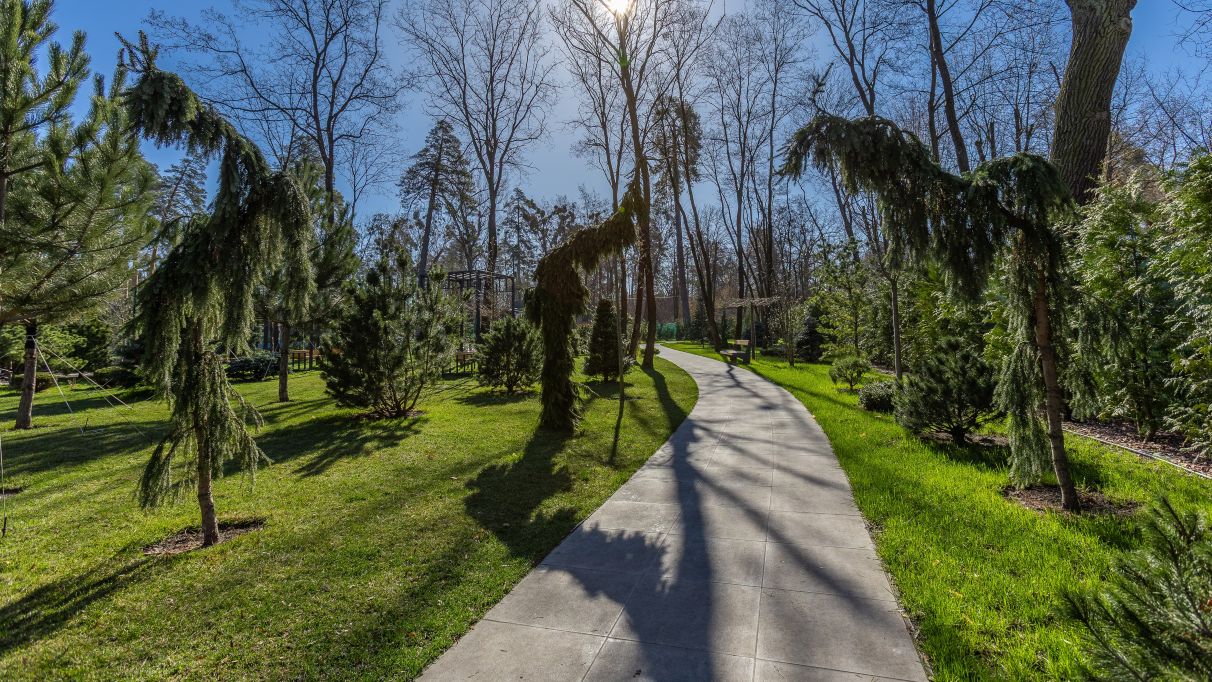 Zamiska corporate party at Mayak Resort Pushcha-Vodytsia